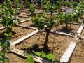 2010 05 24 jeanmarcperfetti.com 061.JPG